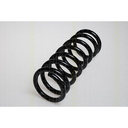 Photo Coil Spring TRISCAN 87502948