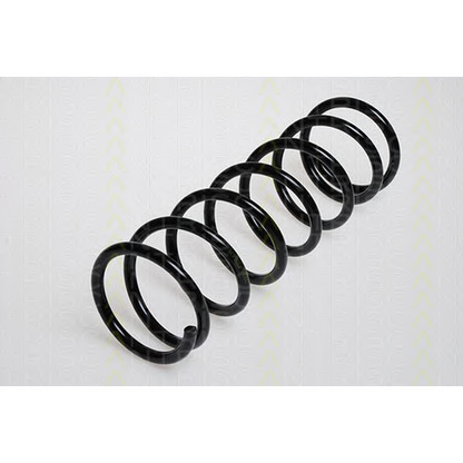 Photo Coil Spring TRISCAN 87504210