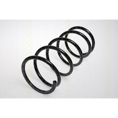 Photo Coil Spring TRISCAN 87504328