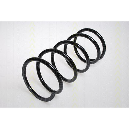 Photo Coil Spring TRISCAN 87504329