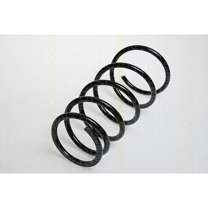 Photo Coil Spring TRISCAN 87505041