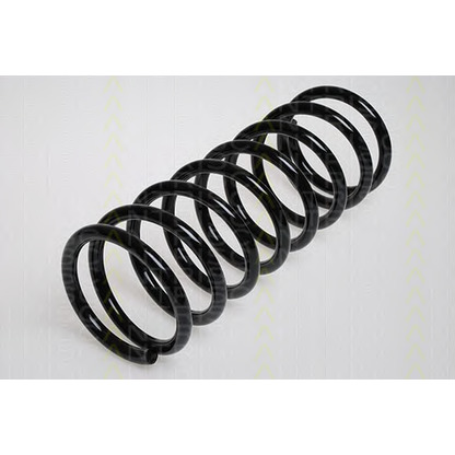 Photo Coil Spring TRISCAN 87506513