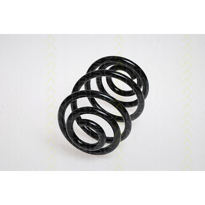 Photo Coil Spring TRISCAN 87506526