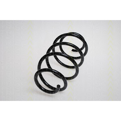 Photo Coil Spring TRISCAN 87506528