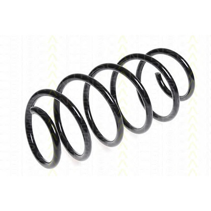 Photo Coil Spring TRISCAN 87506547
