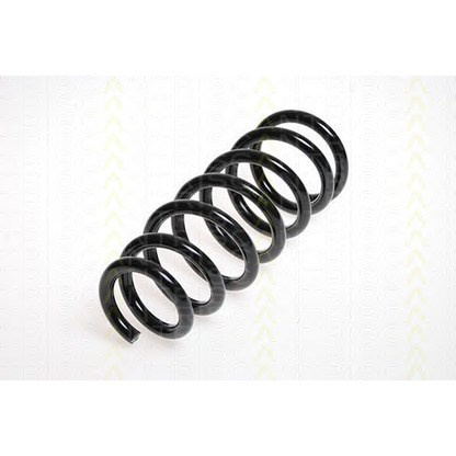 Photo Coil Spring TRISCAN 875013113