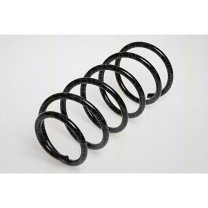 Photo Coil Spring TRISCAN 875024013