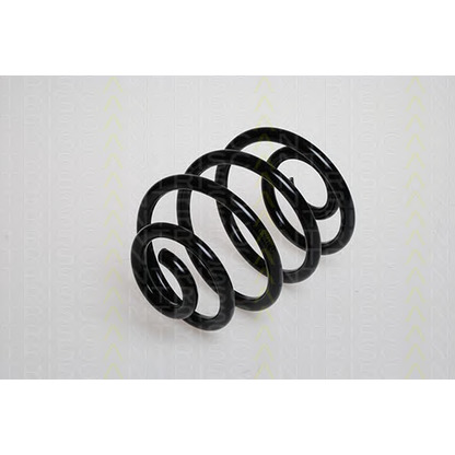 Photo Coil Spring TRISCAN 875024017