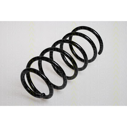 Photo Coil Spring TRISCAN 875029013