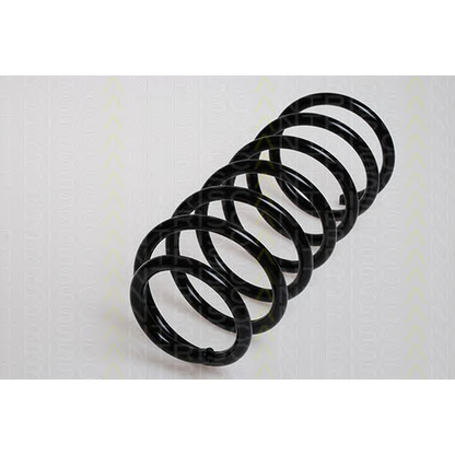 Photo Coil Spring TRISCAN 875029017