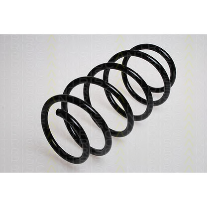 Photo Coil Spring TRISCAN 875029097
