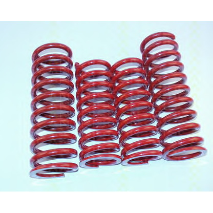 Photo Suspension Kit, coil springs TRISCAN 875523002