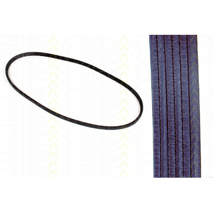 Photo V-Ribbed Belts TRISCAN 8640601750