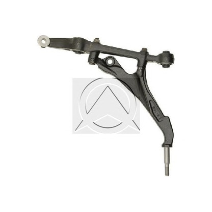 Photo Track Control Arm SIDEM 47774