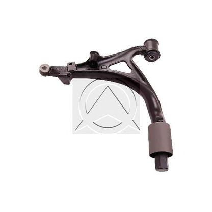 Photo Track Control Arm SIDEM 49972