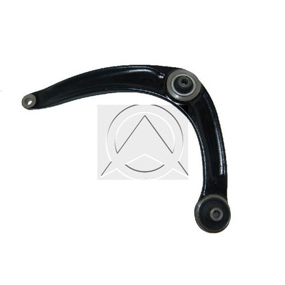 Photo Track Control Arm SIDEM 53278