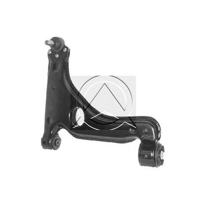 Photo Track Control Arm SIDEM 9875