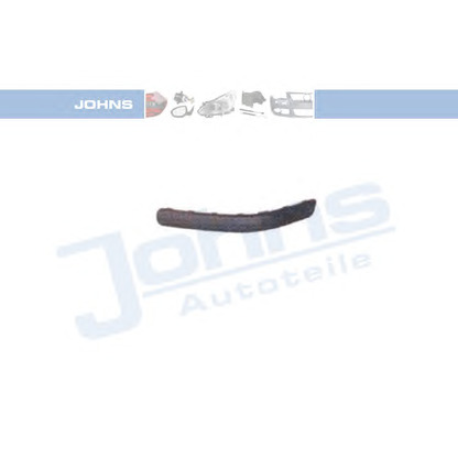 Photo Trim/Protective Strip, bumper JOHNS 9539982