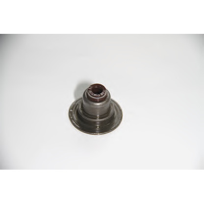 Photo Seal, valve stem CORTECO 19036941