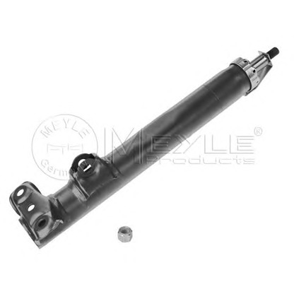 Photo Shock Absorber MEYLE 0266230005