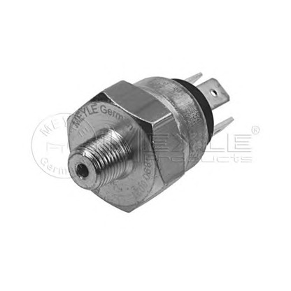 Photo Pressure Switch, brake hydraulics MEYLE 1008900021