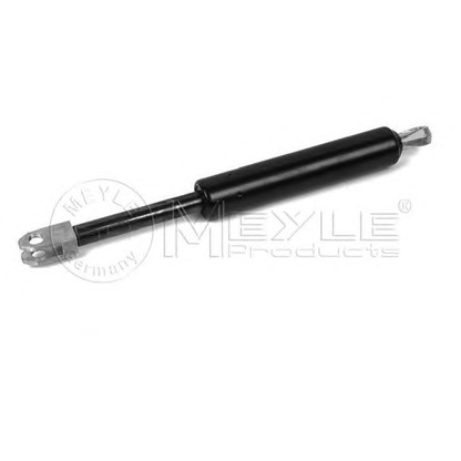 Photo Gas Spring, boot-/cargo area MEYLE 2401610180