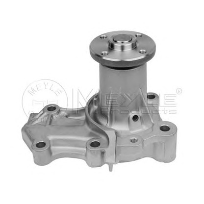 Photo Water Pump MEYLE 32132200004