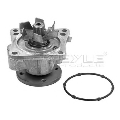 Photo Water Pump MEYLE 32132200013