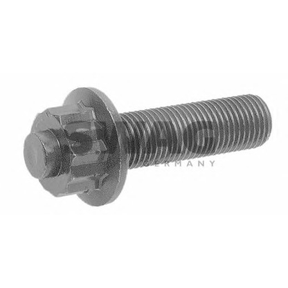 Photo Pulley Bolt SWAG 30050017