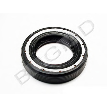 Photo Shaft Oil Seal BUGIAD BSP21094