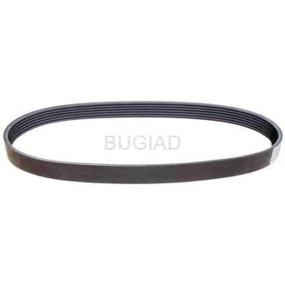 Photo V-Ribbed Belts BUGIAD BSP23333
