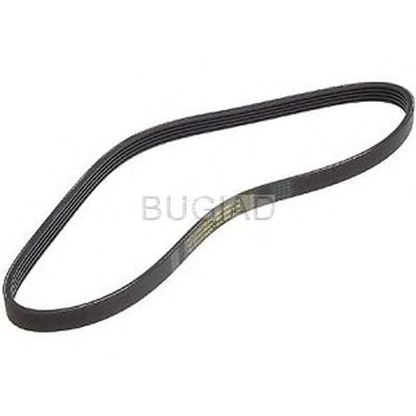 Photo V-Ribbed Belts BUGIAD BSP21992