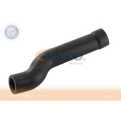 Photo Hose, crankcase breather VAICO V300798