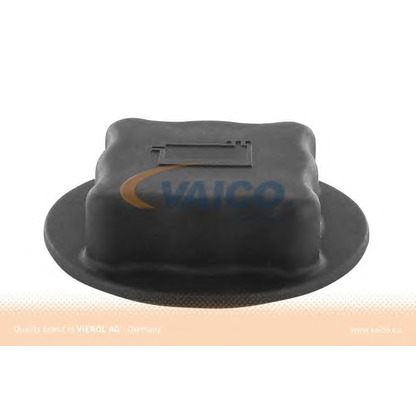 Photo Cap, radiator VAICO V950267