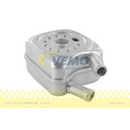 Photo Oil Cooler, engine oil VEMO V15606012