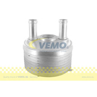 Photo Oil Cooler, automatic transmission VEMO V15606015