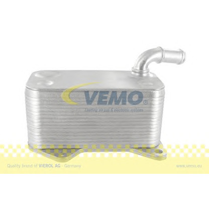 Foto Radiatore olio, Olio motore VEMO V15606018