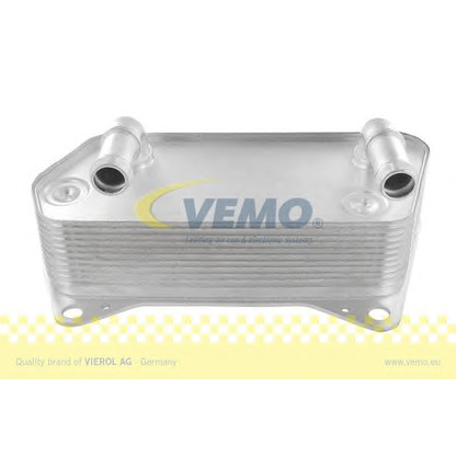 Photo Oil Cooler, automatic transmission VEMO V15606021
