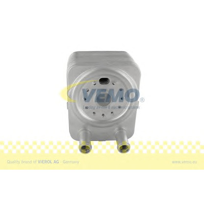 Photo Oil Cooler, engine oil VEMO V15606023