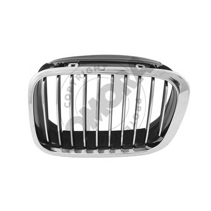 Photo Radiator Grille SOMORA 040507L