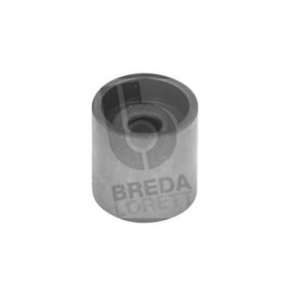 Photo Deflection/Guide Pulley, timing belt BREDA  LORETT PDI3003