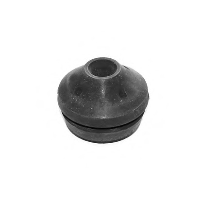 Photo Engine Mounting OCAP 1225002