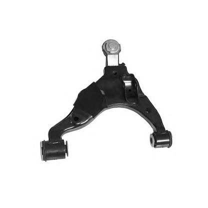 Photo Track Control Arm OCAP 0784561