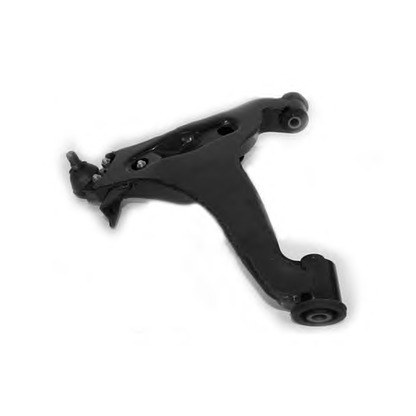 Photo Track Control Arm OCAP 0794598