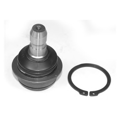 Photo Ball Joint OCAP 0405593