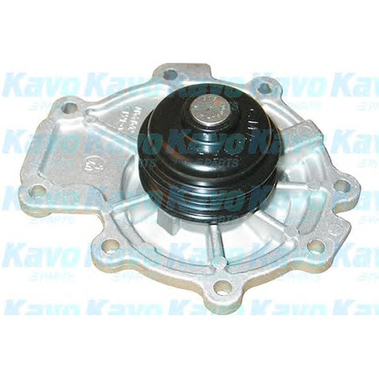 Фото Водяной насос KAVO PARTS MW1536