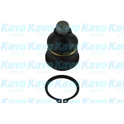 Foto Rótula de suspensión/carga KAVO PARTS SBJ6505