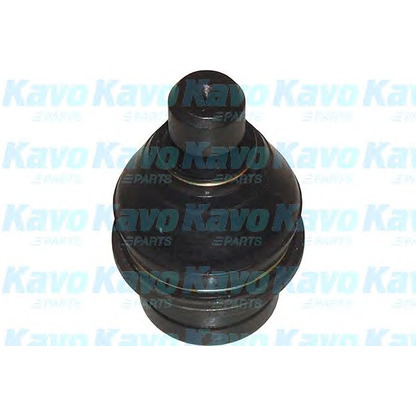 Foto Rótula de suspensión/carga KAVO PARTS SBJ6504