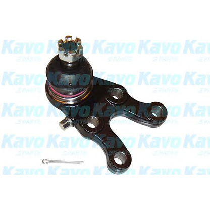 Foto Rótula de suspensión/carga KAVO PARTS SBJ3023