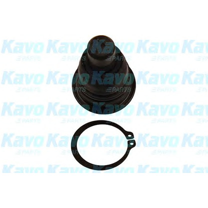 Фото Несущий / направляющий шарнир KAVO PARTS SBJ6537